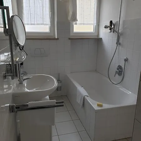 Hotel Traditionsgasthof Gruener Baum *